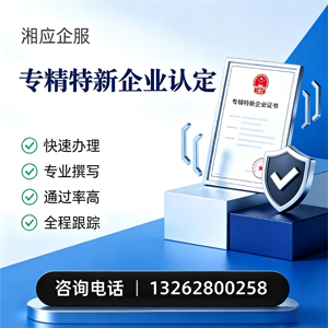 贵阳专精特新企业申报服务