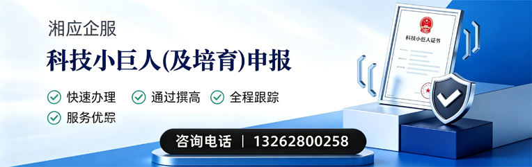 贵阳科技小巨人及培育企业申报服务