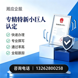 贵阳专精特新小巨人申报服务