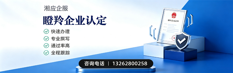 贵阳瞪羚企业认定申报服务