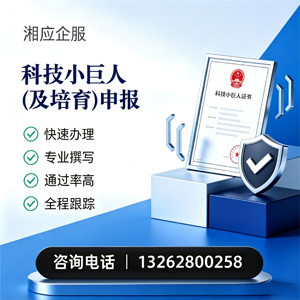 贵阳科技小巨人及培育企业申报服务