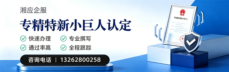 贵阳专精特新小巨人申报服务